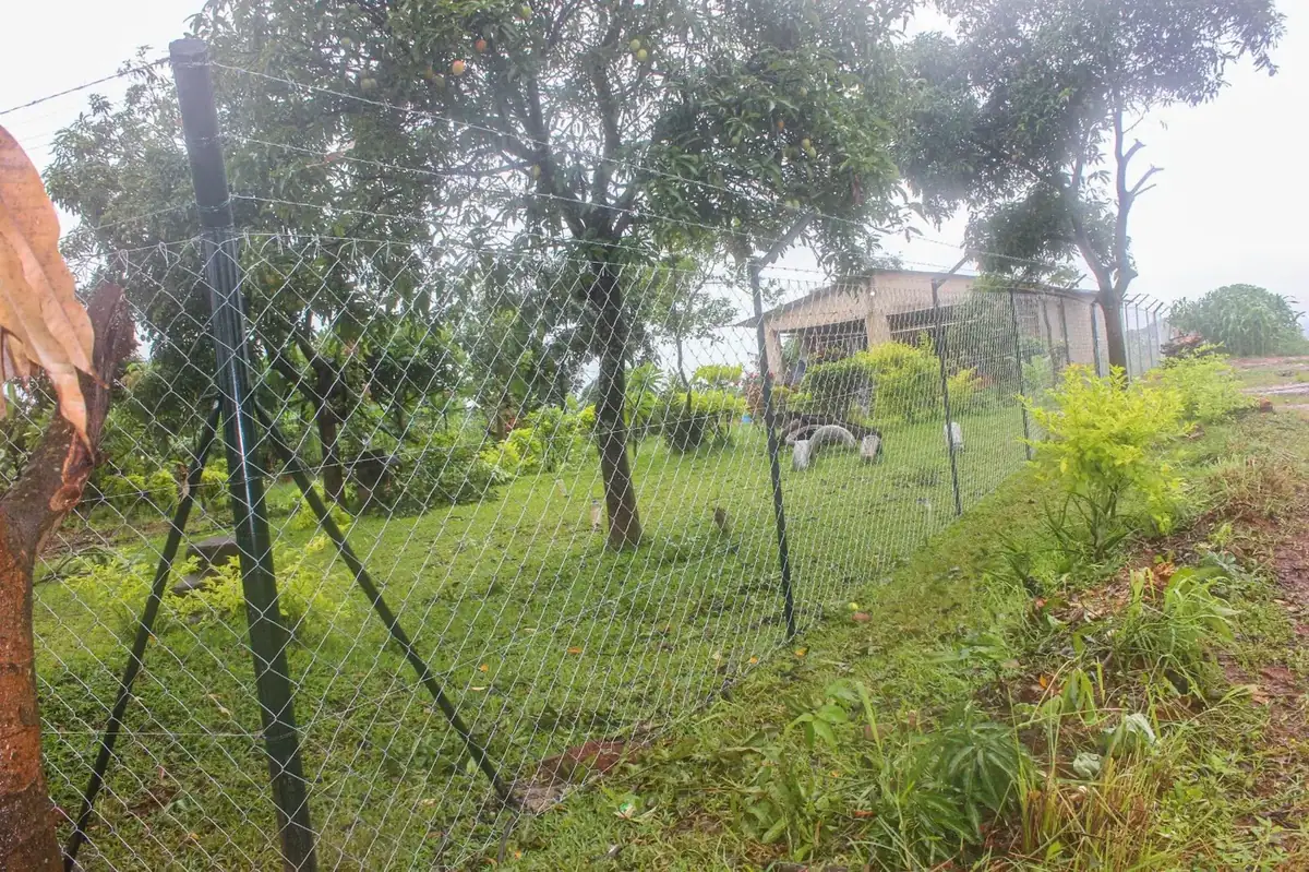 Framans Securities fencing installation and on-site project photo 59