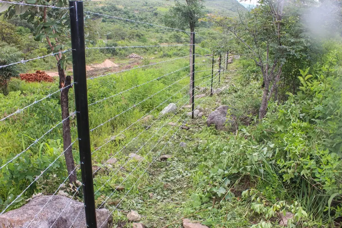 Framans Securities fencing installation and on-site project photo 60